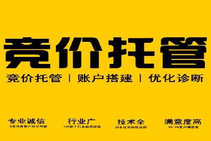 竞价广告赚钱案例：从新手到专家
